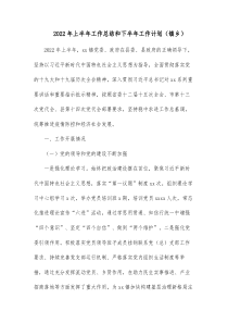 20XX年上半年工作总结和下半年工作计划镇乡