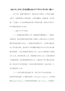 20XX年上半年工作总结暨20XX年下半年工作计划镇乡