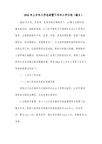 20XX年上半年工作总结暨下半年工作计划镇乡