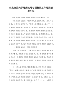 市发改委关于违规吃喝专项整治工作进展情况汇报