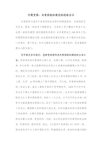 专题党课共青团组织建设的经验启示