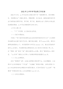 20XX年上半年市司法局工作总结