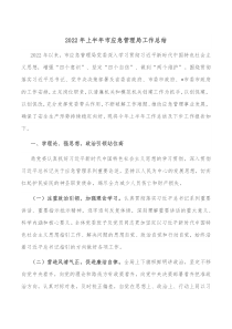 20XX年上半年市应急管理局工作总结