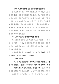 20XX年度党组班子民主生活会对照检查材料