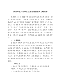 20XX年度六个带头民主生活会情况总结报告