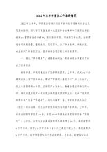 20XX年上半年重点工作推进情况