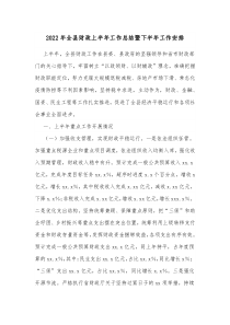 20XX年全县财政上半年工作总结暨下半年工作安排