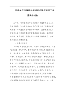 市委关于加强新兴领域党员队伍建设工作情况的报告