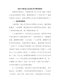 20XX年度民主生活会召开情况报告
