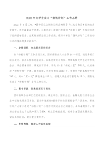 20XX年大学生实习扬帆计划工作总结