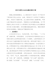 20XX年度民主生活会整改落实方案