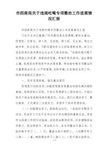 市招商局关于违规吃喝专项整治工作进展情况汇报