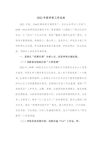 20XX年度学校工作总结