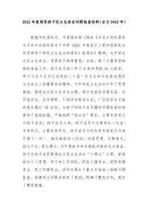 20XX年度领导班子民主生活会对照检查材料全文5403字