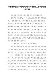 市教育局关于违规吃喝专项整治工作进展情况汇报