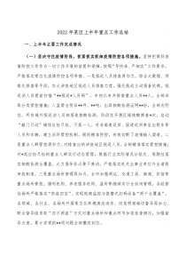 20XX年某区上半年重点工作总结