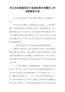 市文化和旅游局关于违规吃喝专项整治工作进展情况汇报
