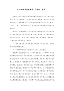 20XX年法治政府建设工作报告镇乡