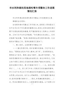 市水利和湖泊局违规吃喝专项整治工作进展情况汇报