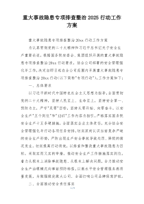 重大事故隐患专项排查整治2025行动工作方案