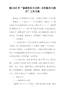 镇2025年“富硒项目大比拼、乡村振兴大提升”工作方案