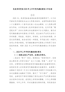 2篇民政局党组20XX年上半年党风廉政建设工作总结