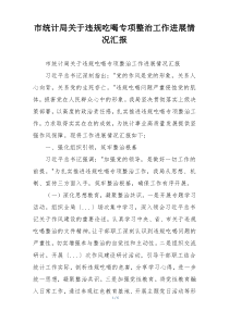 市统计局关于违规吃喝专项整治工作进展情况汇报