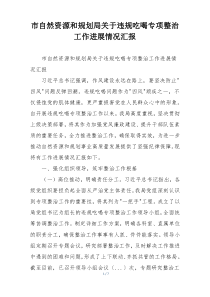 市自然资源和规划局关于违规吃喝专项整治工作进展情况汇报