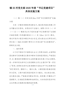 镇XX村党支部2025年度“书记党建项目”具体实施方案