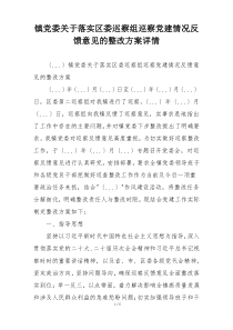 镇党委关于落实区委巡察组巡察党建情况反馈意见的整改方案详情