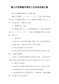 镇公开招聘编外聘用人员具体实施方案