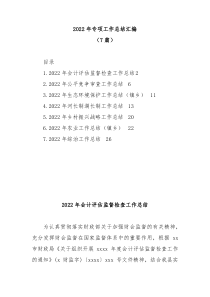 7篇20XX年专项工作总结汇编