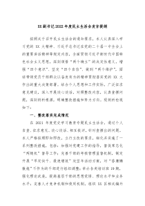 XX副书记20XX年度民主生活会发言提纲