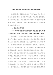 XX区组织部长20XX年度民主生活会剖析材料