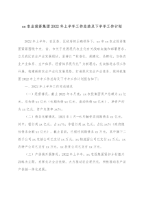 xx农业投资集团20XX年上半年工作总结及下半年工作计划