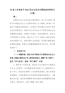 XX县人社局班子20XX民主生活会对照检查材料范文3篇