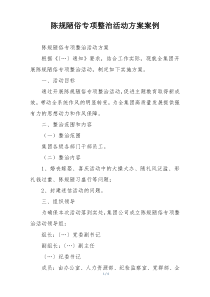 陈规陋俗专项整治活动方案案例