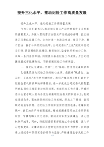 提升三化水平，推动纪检工作高质量发展