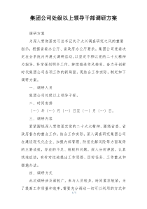 集团公司处级以上领导干部调研方案
