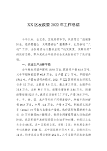 XX区发改委20XX年工作总结