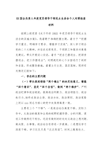 XX国企负责人年度党员领导干部民主生活会个人对照检查材料