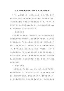xx县上半年政务公开工作总结及下步工作计划