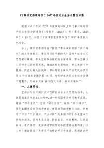 XX集团党委领导班子20XX年度民主生活会整改方案