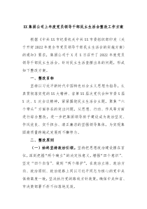 XX集团公司20XX年度党员领导干部民主生活会整改工作方案
