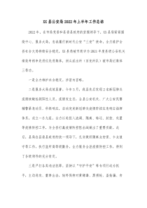 XX县公安局20XX年上半年工作总结