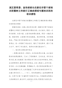 某区委常委、宣传部部长在新任市管干部培训班暨树立和践行正确政绩观专题培训班的培训感悟