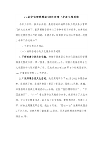 xx县文化和旅游局20XX年度上半年工作总结