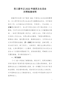 党工委书记20XX年度民主生活会对照检查材料