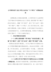 公司领导班子20XX年民主生活会六个带头对照检查材料