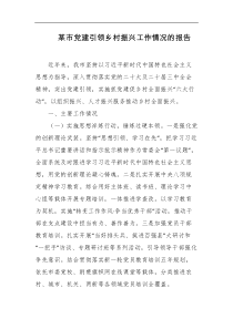 某市党建引领乡村振兴工作情况的报告